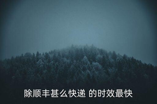除順豐甚么快遞 的時(shí)效最快