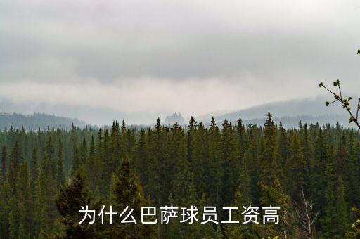 為什么巴薩球員工資高