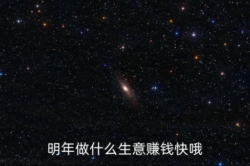 明年做什么生意賺錢快哦