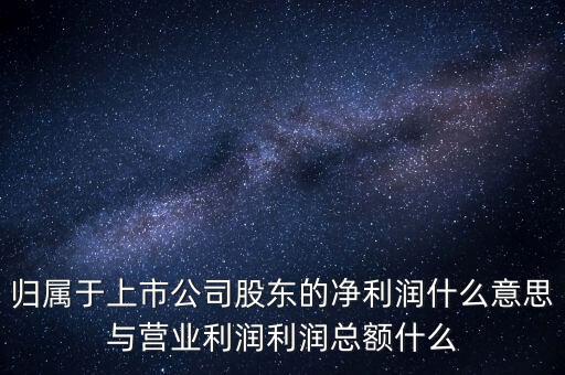 股票凈利潤是什么意思，每股資本公積主營收入每股未分利潤凈利潤什么意思