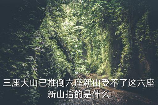 新三座大山反映了什么，新三座大山指的是什么