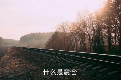 股票震倉是什么意思，莊家為什么要震倉