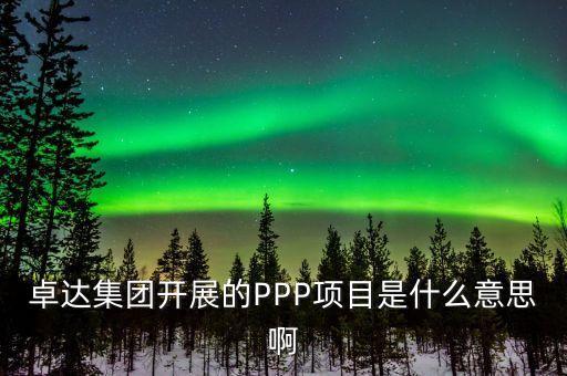 卓達(dá)集團(tuán)開(kāi)展的PPP項(xiàng)目是什么意思啊
