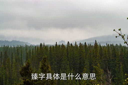 pps上的臻是什么意思，PPS上面有的電影后面會顯一個 臻字是啥意思啊