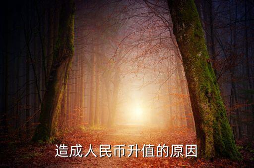 造成人民幣升值的原因