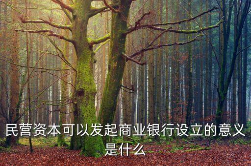 民營資本可以發(fā)起商業(yè)銀行設(shè)立的意義是什么