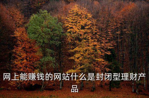 網(wǎng)上能賺錢的網(wǎng)站什么是封閉型理財產品