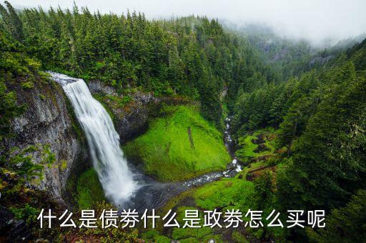 什么是債劵什么是政劵怎么買呢