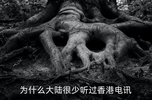 港資電訊是做什么的，電訊是個什么東東