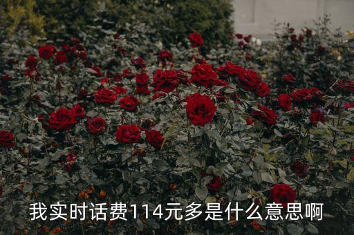114元和24元什么意思，電費(fèi)每月1KVA24元是什么意思