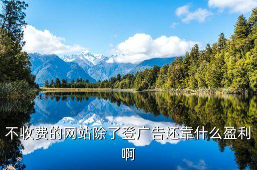 不收費(fèi)的網(wǎng)站除了登廣告還靠什么盈利啊