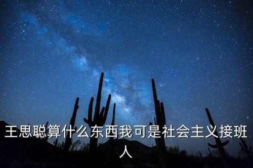 王思聰算什么東西我可是社會(huì)主義接班人