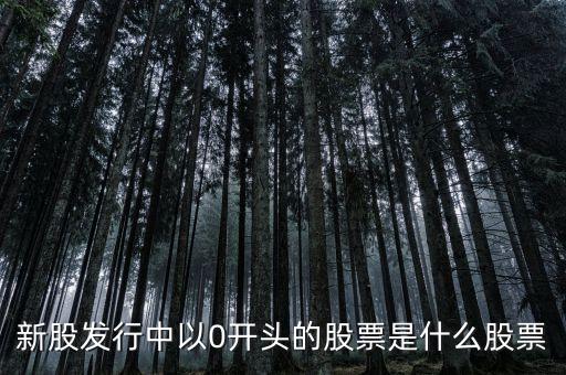 新股發(fā)行中以0開頭的股票是什么股票