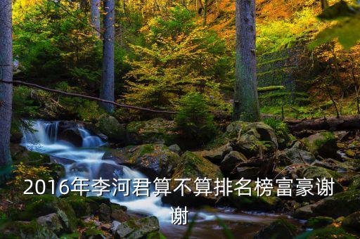 2016年李河君算不算排名榜富豪謝謝