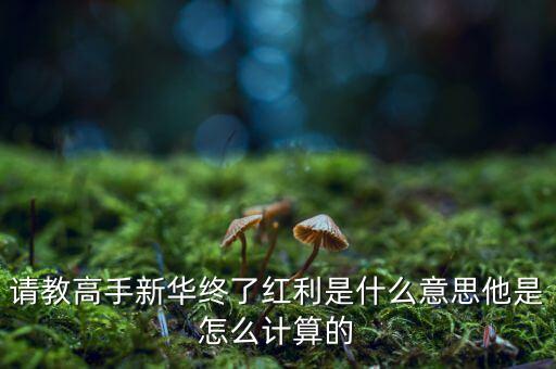 紅利是什么，保險(xiǎn)里的分紅和紅利是一樣嗎
