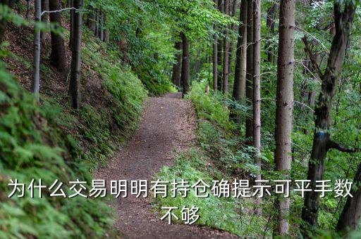 為什么有持倉(cāng)量卻不可平倉(cāng)，商品期貨里想平倉(cāng)但平不了顯示委托數(shù)量超過(guò)持倉(cāng)數(shù)量是什么原因