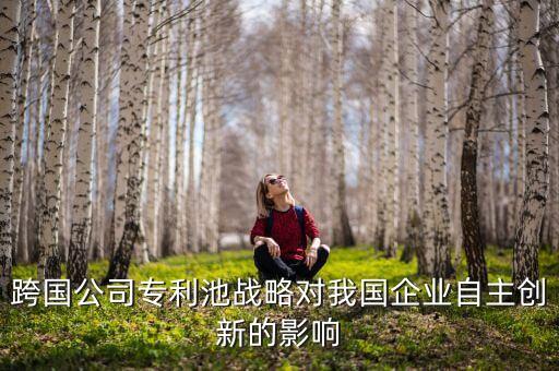北京君正是什么公司，跨國公司專利池戰(zhàn)略對我國企業(yè)自主創(chuàng)新的影響