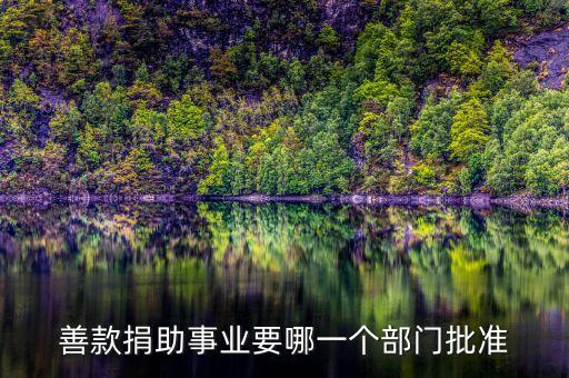 善款捐助事業(yè)要哪一個部門批準(zhǔn)