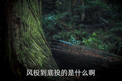 風(fēng)投到底投的是什么啊