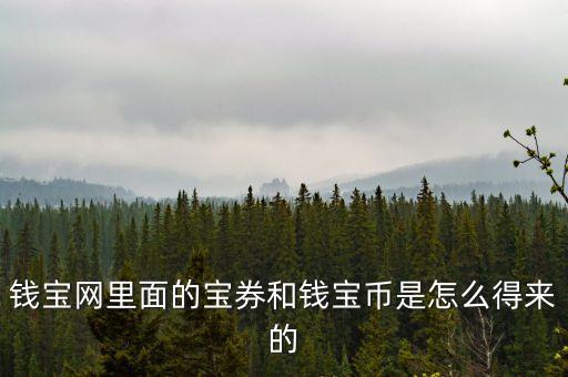 錢寶網(wǎng)里面的寶券和錢寶幣是怎么得來的