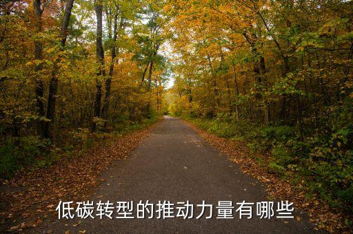 通過(guò)什么可以促進(jìn)綠色低碳轉(zhuǎn)型，提高空氣質(zhì)量和促進(jìn)低碳經(jīng)濟(jì)實(shí)現(xiàn)的措施有哪些