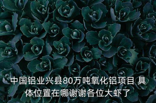 滄州中鋁神華氧化鋁在什么地方，中國鋁業(yè)興縣80萬噸氧化鋁項目 具體位置在哪謝謝各位大蝦了