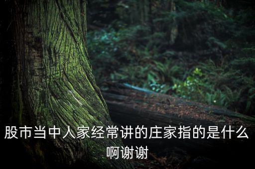 股市當(dāng)中人家經(jīng)常講的莊家指的是什么啊謝謝