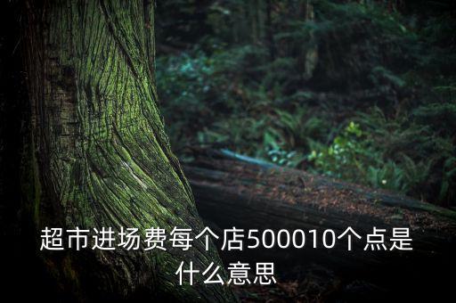 進場費是什么意思，超市進場費每個店500010個點是什么意思