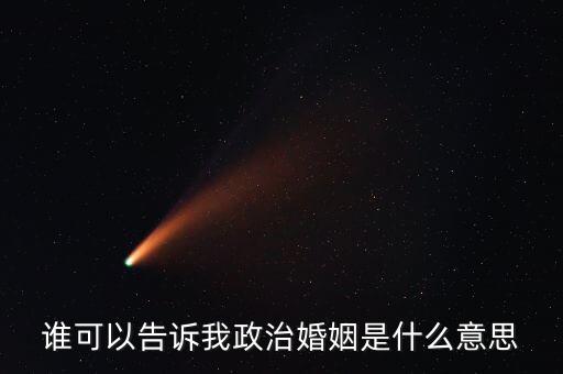 誰可以告訴我政治婚姻是什么意思