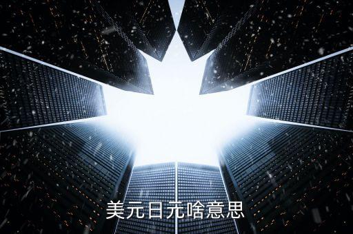 美元兌日元什么意思，1美元1284050日元中是什么意思