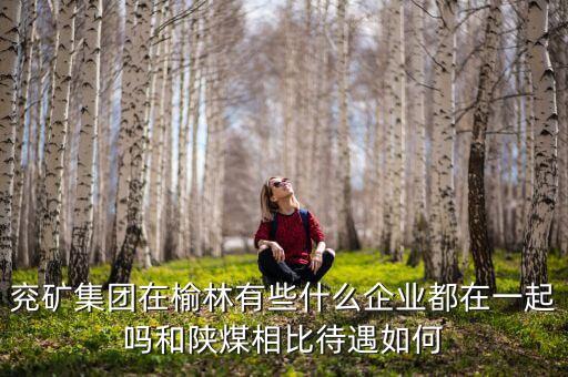 兗州煤業(yè)公司經(jīng)營什么，兗礦集團在榆林有些什么企業(yè)都在一起嗎和陜煤相比待遇如何
