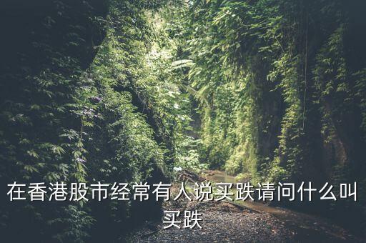 在香港股市經(jīng)常有人說買跌請(qǐng)問什么叫買跌
