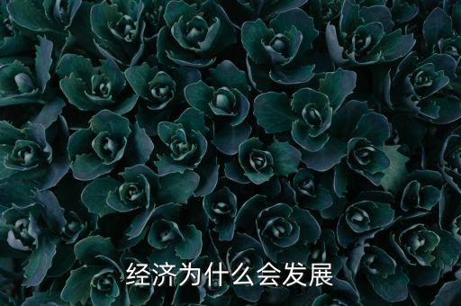 經(jīng)濟為什么會發(fā)展