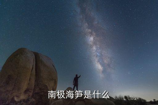 南極天喻是什么，南極海筍是什么