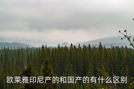印尼生產(chǎn)為什么中國質(zhì)檢，歐萊雅印尼產(chǎn)的和國產(chǎn)的有什么區(qū)別