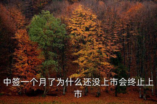 中簽一個月了為什么還沒上市會終止上市