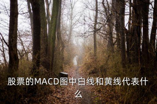 股票的MACD圖中白線和黃線代表什么