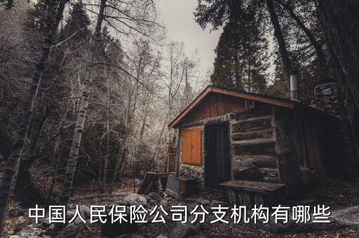 中國(guó)人民保險(xiǎn)公司分支機(jī)構(gòu)有哪些