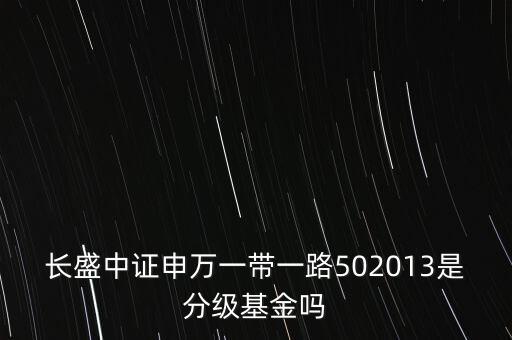 長盛中證申萬一帶一路502013是分級基金嗎