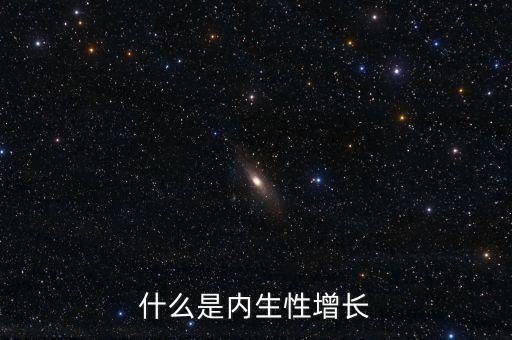 什么是內(nèi)生性增長