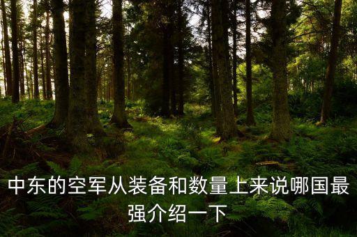 中東的空軍從裝備和數(shù)量上來說哪國最強(qiáng)介紹一下