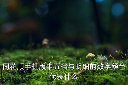 同花順五檔和明細(xì)是什么，五檔明細(xì)成交是什么意思