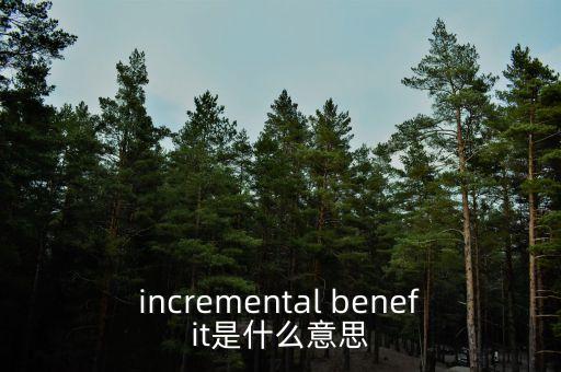 什么是增量利潤(rùn)，incremental profit是什么意思
