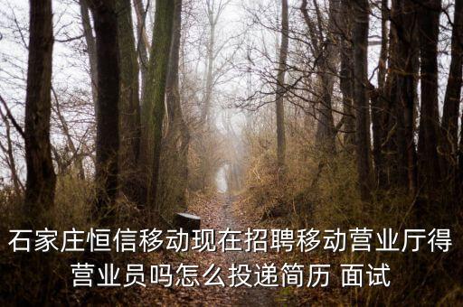 恒信移動(dòng)是什么公司，河北恒信是做什么的公司