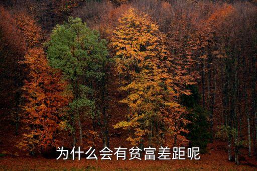 為什么會有貧富差距呢