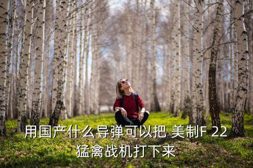 用國產(chǎn)什么導(dǎo)彈可以把 美制F 22猛禽戰(zhàn)機(jī)打下來