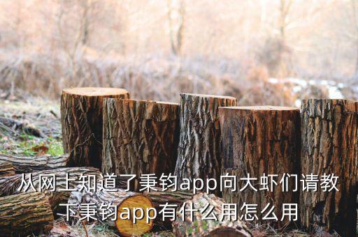用友秉鈞是做什么的，從網(wǎng)上知道了秉鈞app向大蝦們請教下秉鈞app有什么用怎么用