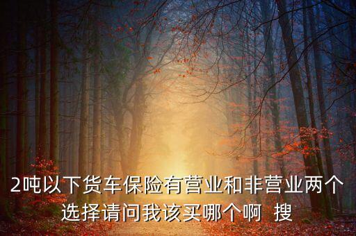 2噸以下貨車保險有營業(yè)和非營業(yè)兩個選擇請問我該買哪個啊  搜
