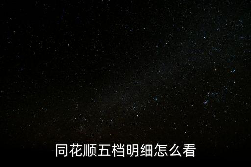 同花順五檔明細(xì)怎么看