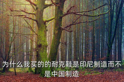 為什么我買的的耐克鞋是印尼制造而不是中國制造